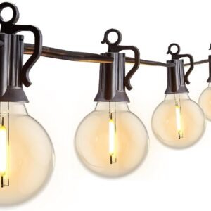 616d20BRyNL._AC_SL1500.jpg Outdoor String Lights 60 Feet G40 Globe Patio Lights with 32 Edison Shatterproof Bulbs(2 Spare), Waterproof Connectable Hanging Christmas Lights for Backyard Porch Balcony Party Xmas Decor