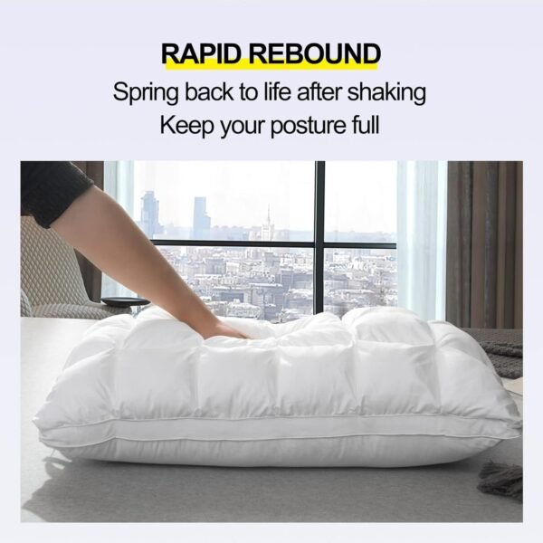 Soft Pillows Queen Size for Sleeping, Support Bed Pillows, Fluffy Down Alternative Pillow, Luxury Hotel Gel Pillows for Side Sleeping (White)