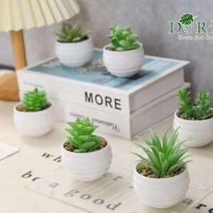 Set of 6 Succulents Plants Artificial in Pots Small Fake Plants for Bedroom Aesthetic Living Room Office Shelf Bathroom Decor