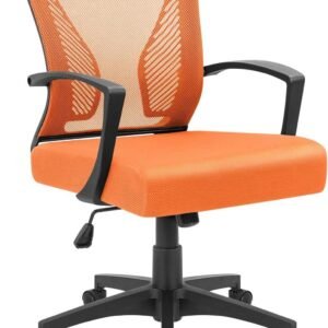71sm4RWSe2L._AC_SL1500.jpg Office Chair Mid Back Swivel Lumbar Support Desk Chair, Computer Ergonomic Mesh Chair with Armrest (Black)