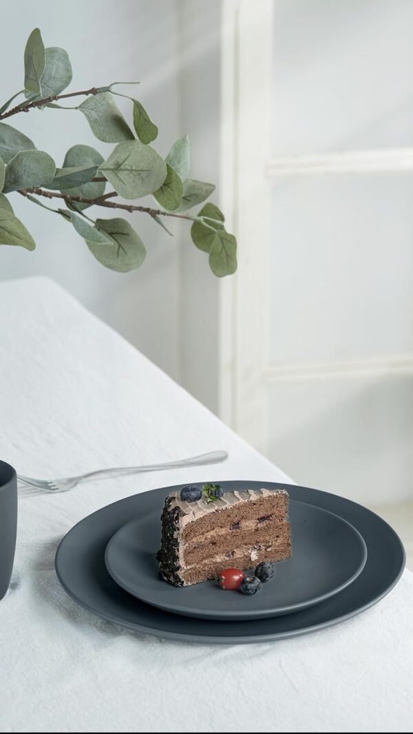 Moon Dinnerware Sets for 4, 12 Piece Stoneware Plates and Bowls Sets with Speckled Design, Matte Dish Set, Microwave and Dishwasher Safe, Charcoal