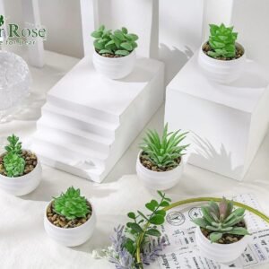 Set of 6 Succulents Plants Artificial in Pots Small Fake Plants for Bedroom Aesthetic Living Room Office Shelf Bathroom Decor