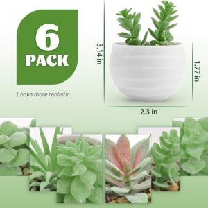 Set of 6 Succulents Plants Artificial in Pots Small Fake Plants for Bedroom Aesthetic Living Room Office Shelf Bathroom Decor