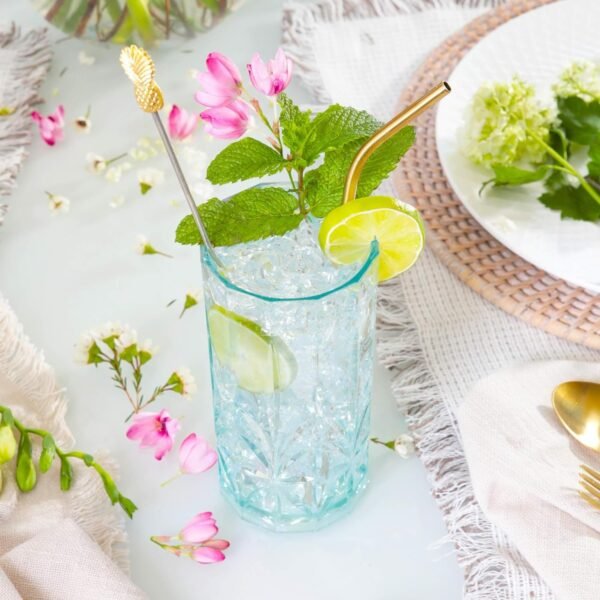 Shatterproof Tritan Plastic Tall Tumbler, Set of 4, 18oz - Myrtle Beach Drinking Glasses - Unbreakable Drinking Glasses for Parties - BPA Free - Teal