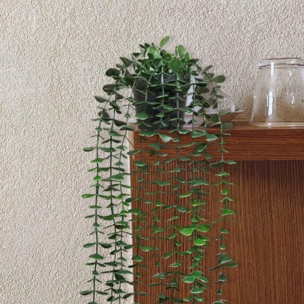 81h5VGxU-uL._AC_SL1300.jpg Artificial Hanging Plants 3 Pack Fake Potted Plants for Wall Home Room Office Indoor Decor