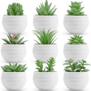 Set of 6 Succulents Plants Artificial in Pots Small Fake Plants for Bedroom Aesthetic Living Room Office Shelf Bathroom Decor