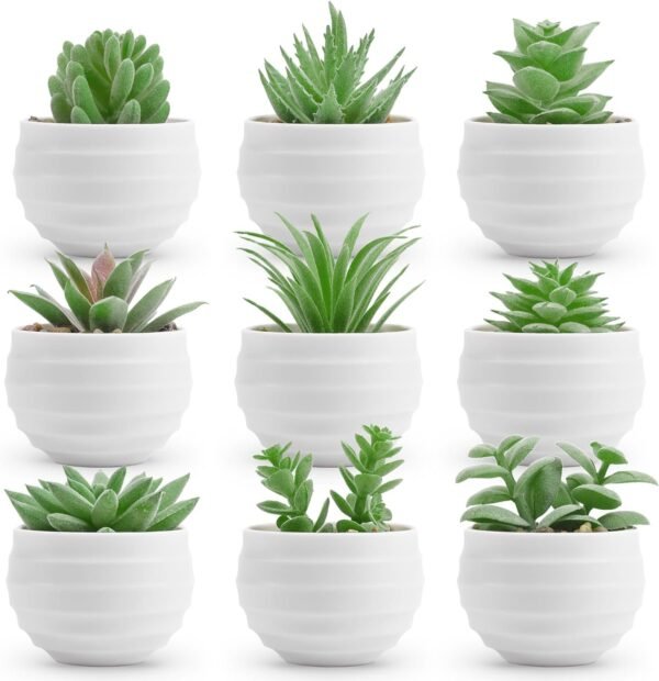 Set of 6 Succulents Plants Artificial in Pots Small Fake Plants for Bedroom Aesthetic Living Room Office Shelf Bathroom Decor